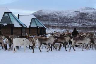 Курортные отели Arctic Land Adventure Glass Igloos Кильписъярви Стеклянное иглу-3